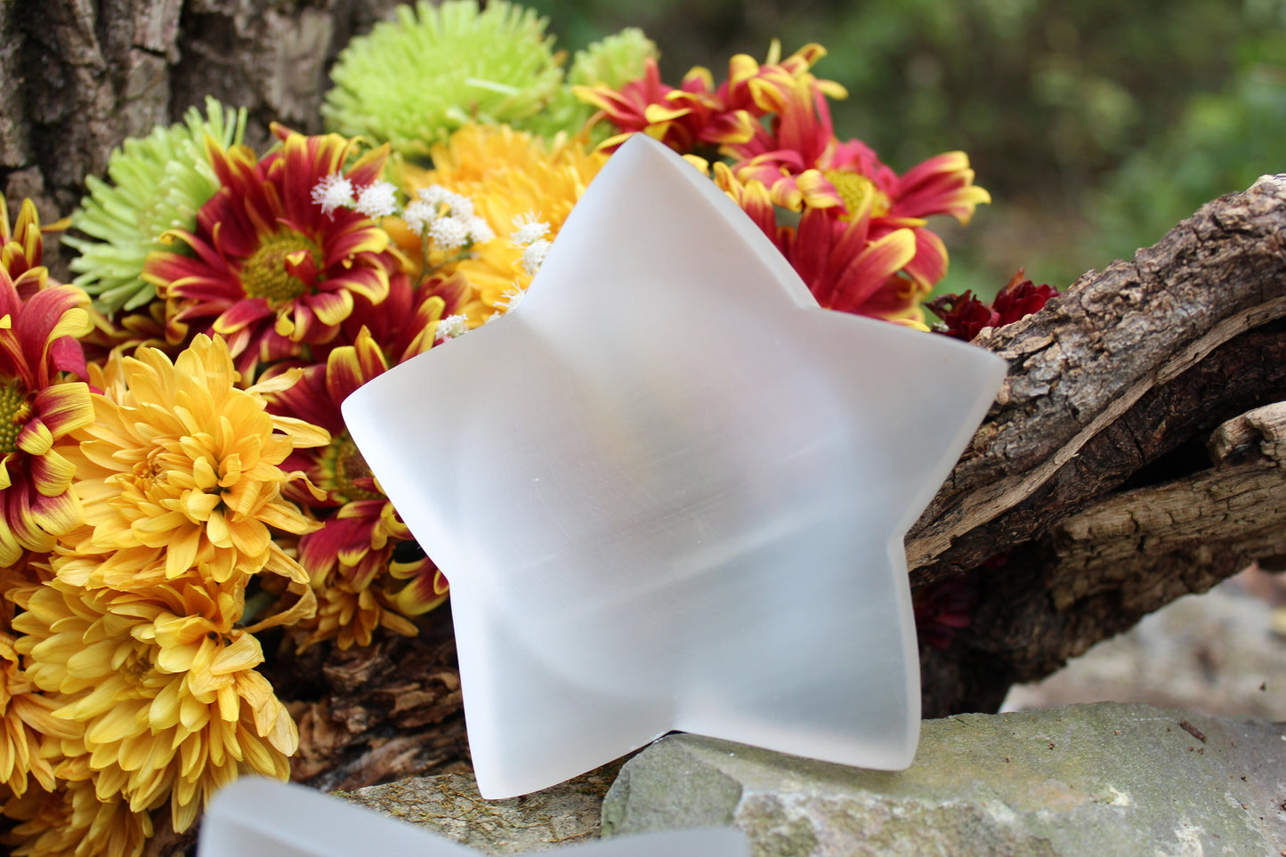 Selenite Star Bowl / Dish ~ Jewelry Holder ~186 grams ~ 4.22” x .68”~ Cleanse & Charge your Crystal Bracelets ~