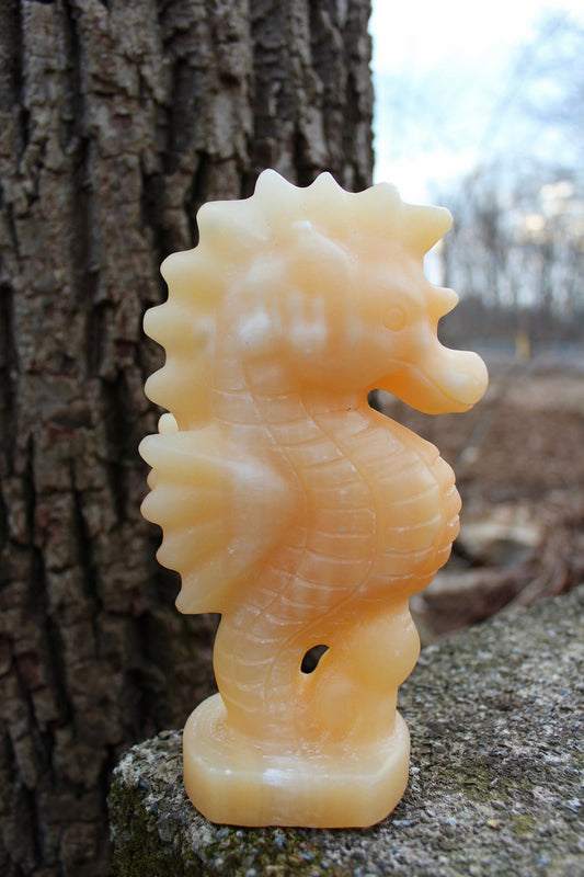 Orange Calcite Crystal Seahorse ~ Feels like Sunshine ~ 36 ounces ~ 7.5”x4”x2.75”~