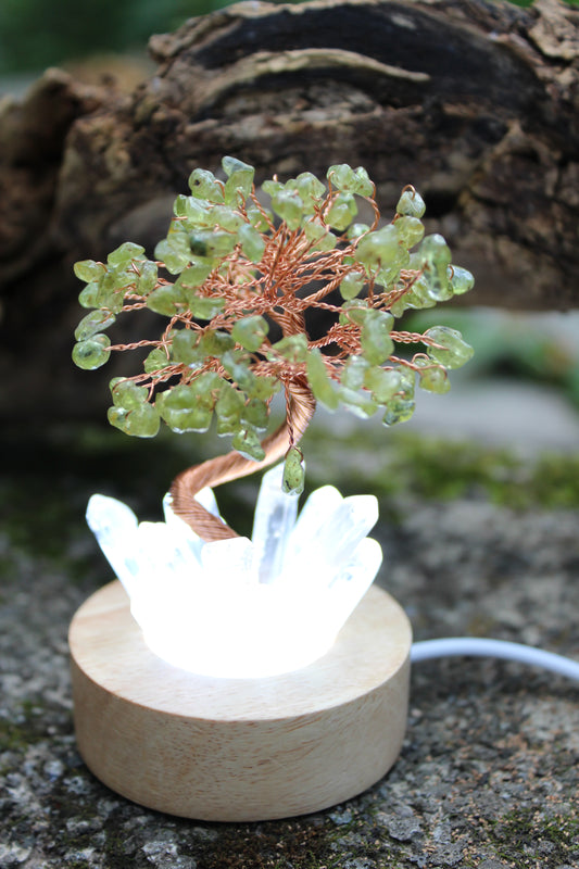 Green Adventurine Money Tree ~ Clear Quartz Shards ~ LED plug in ~ 4” Tall x 2.35” round wooden base ~ Manifest ~ Feng Shui ~